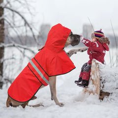 Ezierfy adjustable dog raincoat chest strap allows easy on and off and comfortable fit