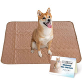 EZwhelp reusable dog pee pad with waterproof top for reliable absorption.