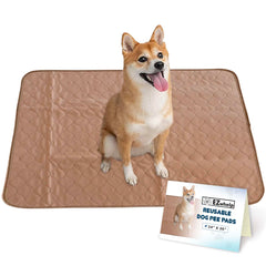 EZwhelp reusable dog pee pad with waterproof top for reliable absorption.