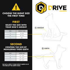 EzyDog Drive Harness dual-sr-buckle provides quick, secure on-and-off for busy mornings.