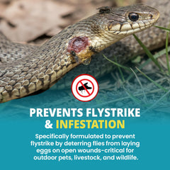 F10 antiseptic wound spray on reptile wound to support care
