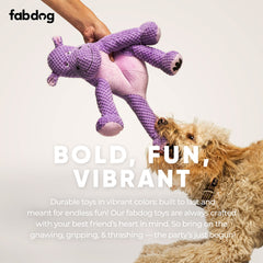 fabdog Floppies koala plush toy, gentle feel for cozy quiet play.
