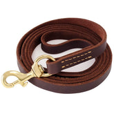 FAIRWIN leather dog leash 6 ft for controlled walks and training.