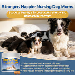 Faith Love Hope DHA omega-3 focus supports cognitive development.