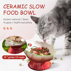 FALESHOS spine-protection cat bowl promotes proper neck alignment