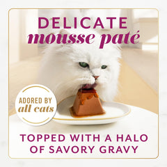 Fancy Feast Gems Mousse with Beef serving portion highlights pyramid pate for easy, mess-free feeding.