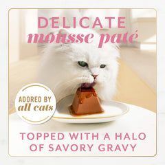 Fancy Feast Gems Salmon Halo Gravy highlights savory gravy finish in every bite.