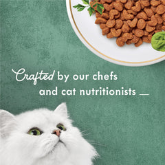 Tomato accents visible in kibble provide a vibrant, appetizing blend.
