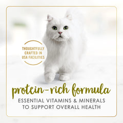 Fancy Feast grain-free cat food bowl emphasizes grain-free formula and savory taste.