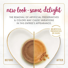 Opened can of Fancy Feast senior chicken feast pâté showing smooth texture