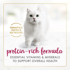 Package display of Fancy Feast senior chicken feast pâté pack