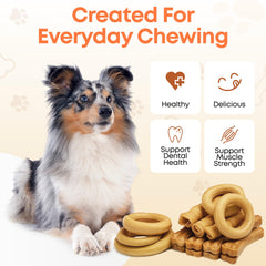 Fang and Claw variety-pack dog chews showing diverse shapes and textures.