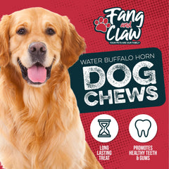 Fang and Claw water buffalo horn chew in dog mouth, showcases long-lasting chew.