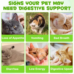 FANGCUN liquid probiotics for cats supports steady gut balance