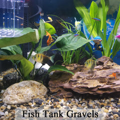 FANTIAN smooth pea gravel supports small planters with better airflow.