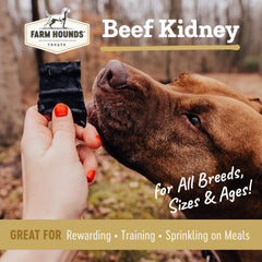 Farm Hounds Beef Kidney Jerky label detail β USA-sourced ingredients for peace of mind