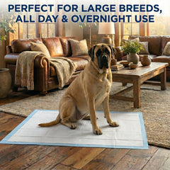 Farmhouse Pet Supply non-slip backing with adhesive tabs prevents movement