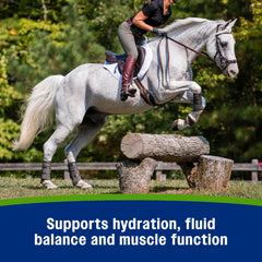 Horse drinking water beside Farnam Apple Elite hydration pellets