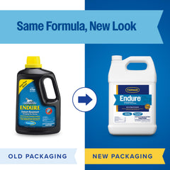 Horse face being treated with Farnam Endure for targeted protection