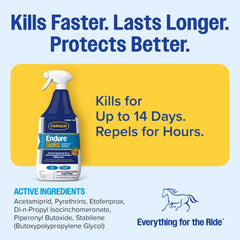 Horse in turnout receives Endure Gold spray for fly protection