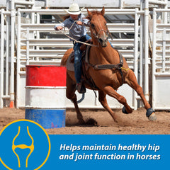 Farnam FluidFlex dosing with syringe for easy administration.