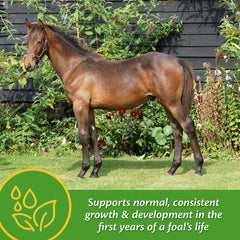 Foal creep feed with Farnam Grow Colt promotes balanced intake