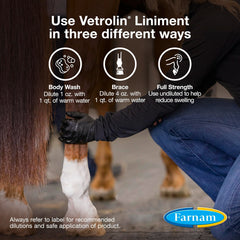Farnam Vetrolin liniment applied to ankles, knees, and tendons for support.