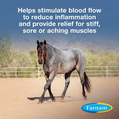 Farnam Vetrolin liniment on horse coat for a healthy shine.