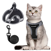 FAYOGOO cat harness escape-proof strap designed for safe outdoor walks.