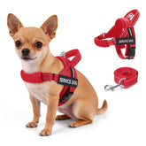 FAYOGOO service dog vest with escape-proof chest strap for secure fits during outdoor walks