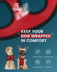 FAYOGOO escape-proof vest with Velcro and D-buckle for secure fit