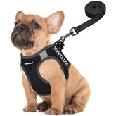 FAYOGOO service dog vest shows breathable mesh for daily comfort and all-season wear
