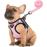 FAYOGOO service dog vest for small breed in breathable mesh during daily walks.