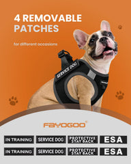 FAYOGOO vest features escape-proof Velcro and D-buckle for reliable control