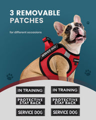 FAYOGOO ultra-light weight vest reduces fatigue during training