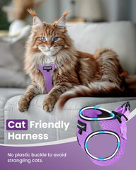 FAYOGOO ultra-light breathable mesh keeps cats cool during walks