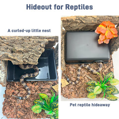 FCALIVV natural rock-textured cave blends with bioactive terrariums