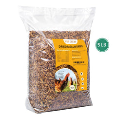 Close-up of FCI Grubs dried mealworms showing crispy texture