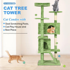 FDW cat tree condo and plush perches offer cozy retreats for cats.