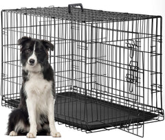 FDW 48-inch dog crate front view with dual doors for easy access and safety.