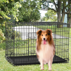 FDW extra-large dog crate side-door entry shows flexible placement for calm dogs.