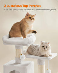 Feandrea cat caves provide cozy hideaways for rest and privacy.