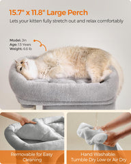 Feandrea cat tree lower single-door cave creates a cozy nap hideaway.
