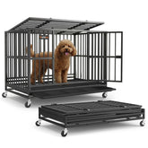 Feandrea heavy-duty crate setup in minutes for quick pet containment.