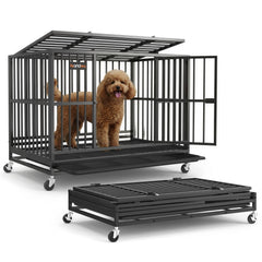 Feandrea heavy-duty crate setup in minutes for quick pet containment.