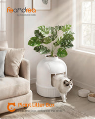 Feandrea spacious enclosure shows roomy interior for cats of all sizes.