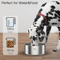 Feedoo BPA-free food-grade bowl for safe daily use.