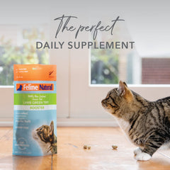 Feline Natural grain-free digestive support supplement ready to top meals.