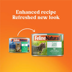 Feline Natural Lamb Feast serving; soft pate texture ideal for picky eaters