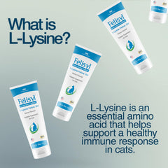Close-up Felisyl Lysine Gel label highlighting salmon flavor for easy dosing